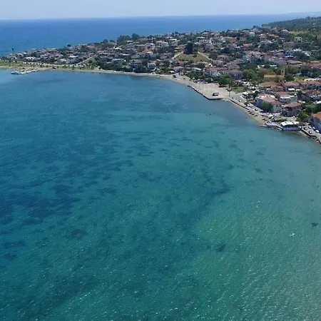 Margarita * Petalídhion