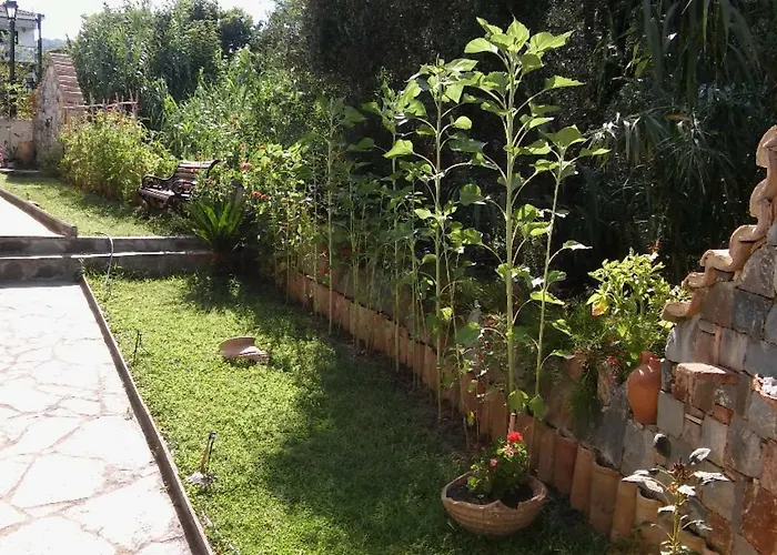 Margarita * Petalídhion