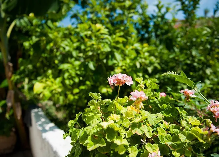 דירה Margarita *