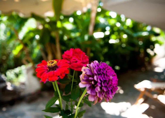 דירה Margarita *