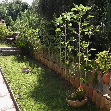 Studios Margarita * Petalidi