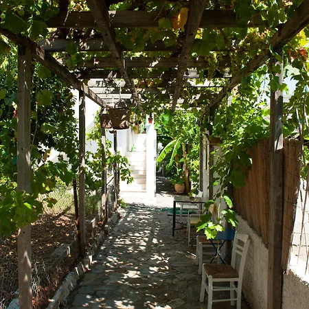 Studios Margarita * Petalidi