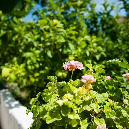 Apartman Margarita *