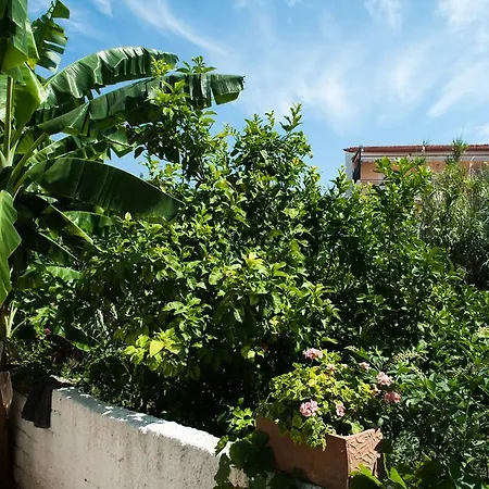 Studios Margarita