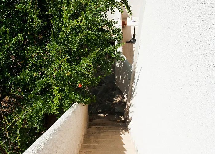 Margarita * Petalídhion